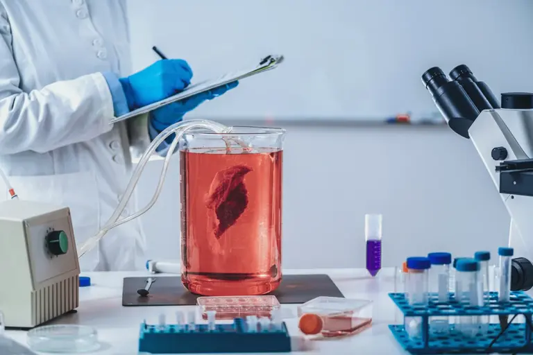 Choosing the Right Diagnostic Instruments: What Laboratories Should Know
